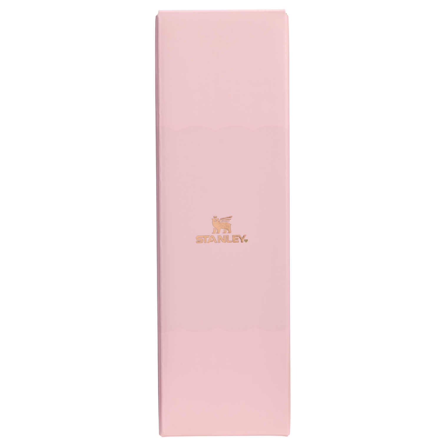 The Valentine's Day Transit Surround Mug | 16 OZ